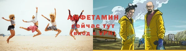 PSILOCYBIN Заводоуковск