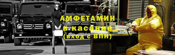 PSILOCYBIN Заводоуковск
