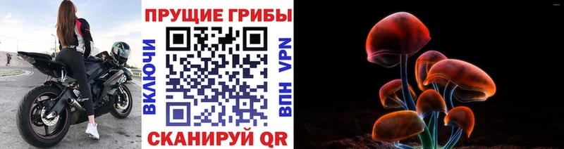 Галлюциногенные грибы прущие грибы  сколько стоит  Заозёрный 